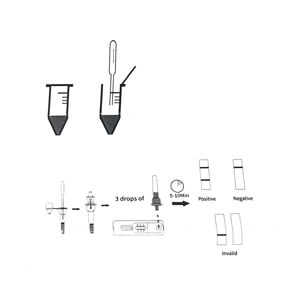 Kit tes kehamilan hewan peliha - Vet Tech Accessories ulasan dan harga