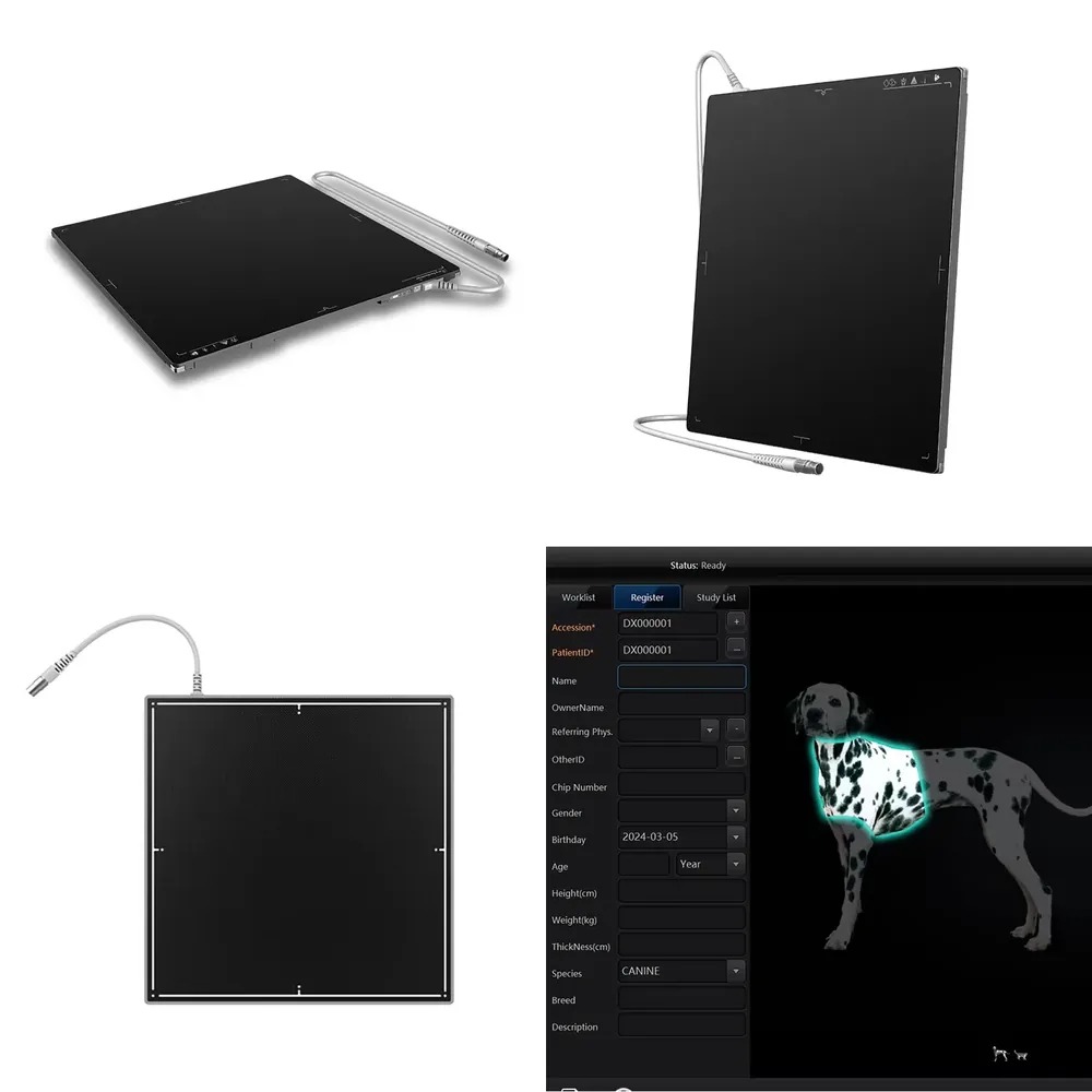 Penawaran Spesial Detektor Pan - Xray Tech Accessories ulasan dan harga